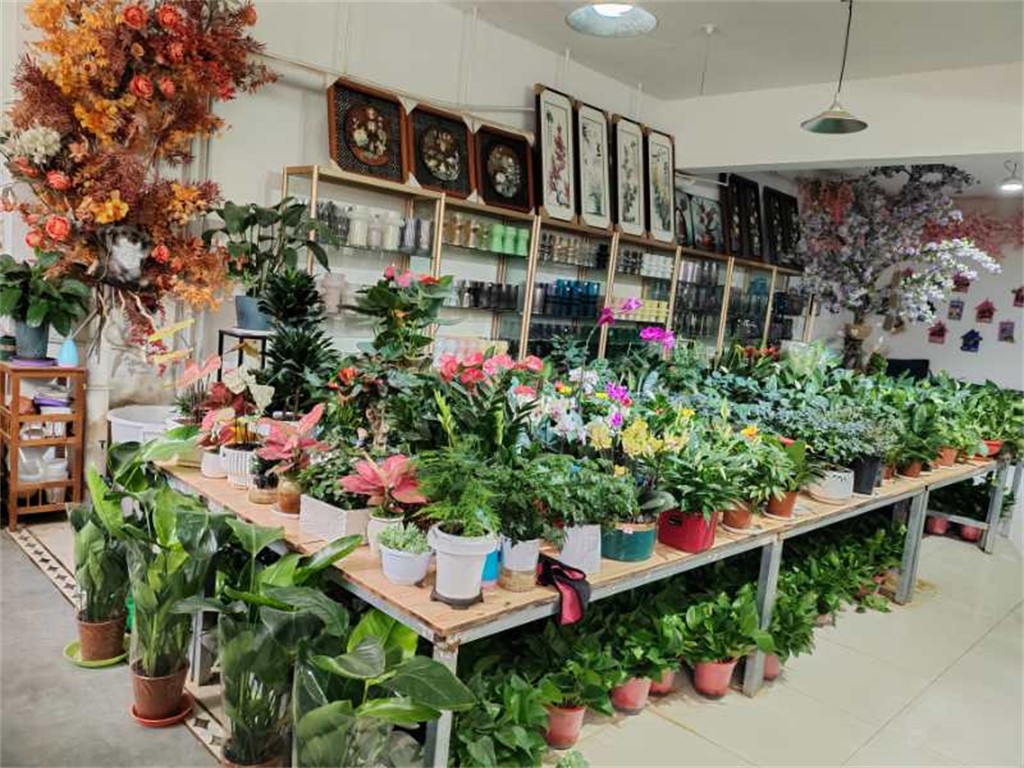 博思花艺婚庆教育,婚庆培训,花艺培训,插花培训,花艺师培训,主持人培训,商务主持人培训,花店运营培训,花店全系统营销,小白开花店,小白学主持,金玺棠婚庆酒店,金玺棠总部,郑州金麻雀教育科技有限公司 博思花艺婚庆教育,婚庆培训,花艺培训,插花培训,花艺师培训,主持人培训,商务主持人培训,花店运营培训,花店全系统营销,小白开花店,小白学主持,金玺棠婚庆酒店,金玺棠总部,郑州金麻雀教育科技有限公司