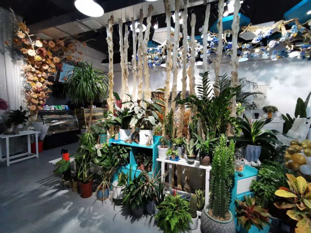 博思花艺婚庆教育，婚庆培训，花艺培训，插花培训，花艺师培训，主持人培训，商务主持人培训，花店运营培训，花店全系统营销，小白开花店，小白学主持，金玺棠婚庆酒店，金玺棠总部，郑州金麻雀教育科技有限公司