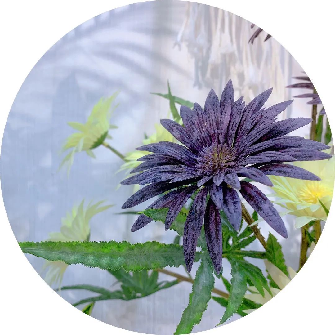 博思花艺婚庆教育，婚庆培训，花艺培训，插花培训，花艺师培训，主持人培训，商务主持人培训，花店运营培训，花店全系统营销，小白开花店，小白学主持，金玺棠婚庆酒店，金玺棠总部，郑州金麻雀教育科技有限公司