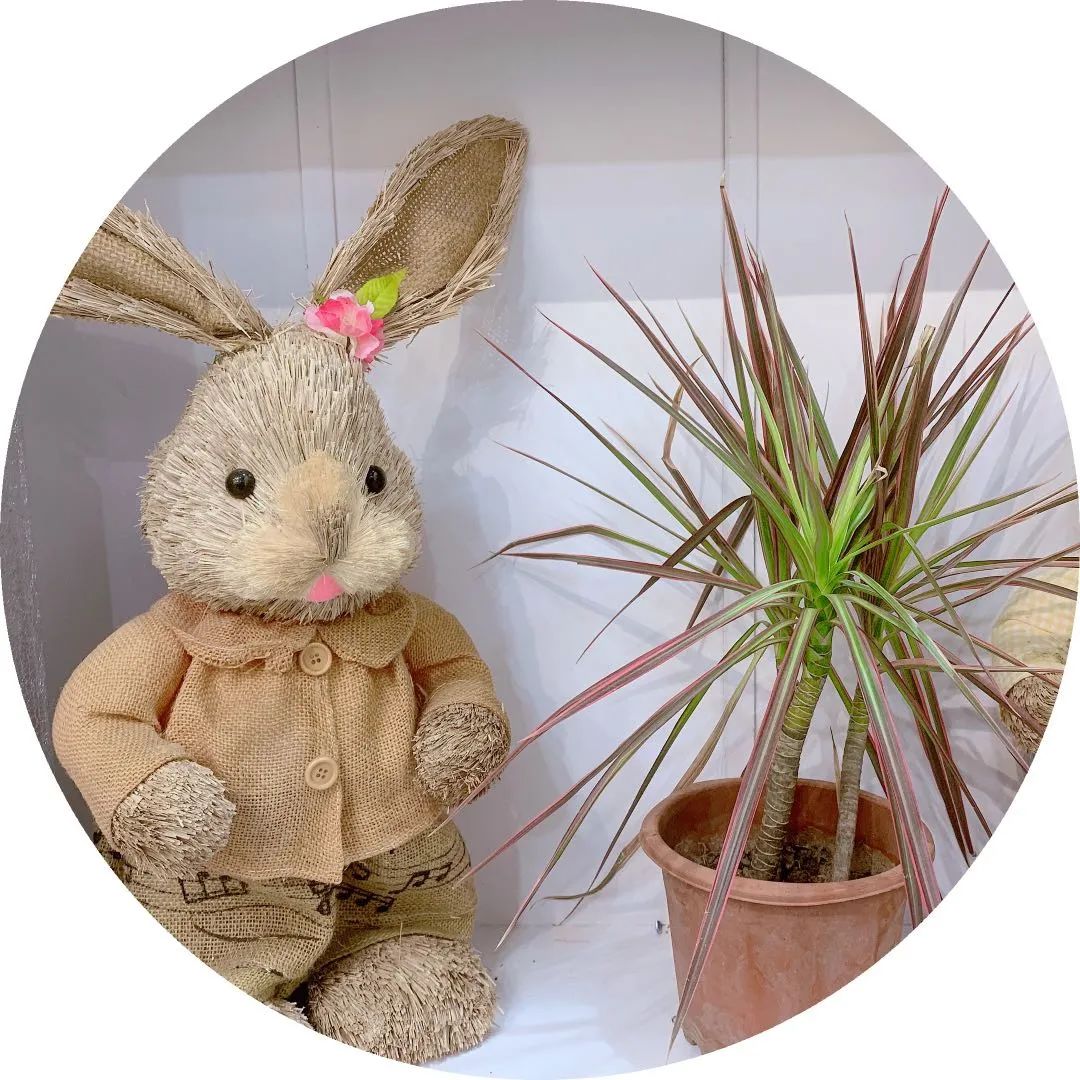 博思花艺婚庆教育，婚庆培训，花艺培训，插花培训，花艺师培训，主持人培训，商务主持人培训，花店运营培训，花店全系统营销，小白开花店，小白学主持，金玺棠婚庆酒店，金玺棠总部，郑州金麻雀教育科技有限公司