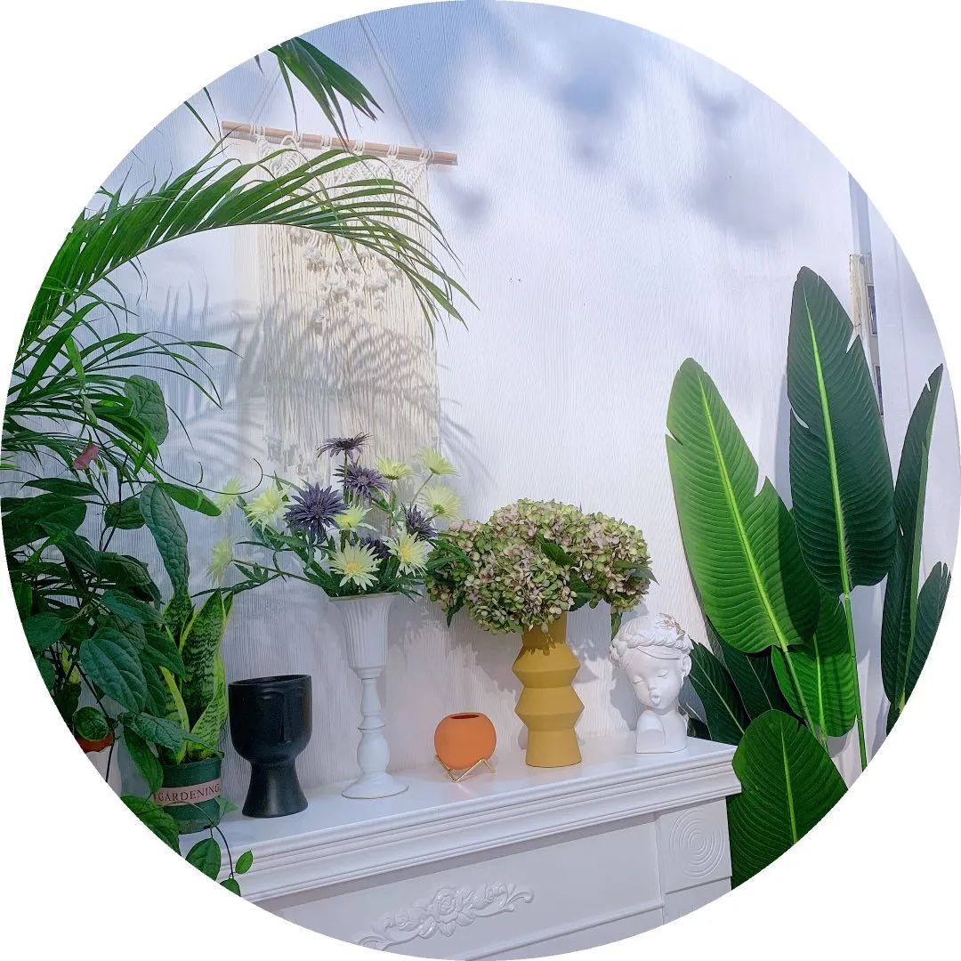 博思花艺婚庆教育，婚庆培训，花艺培训，插花培训，花艺师培训，主持人培训，商务主持人培训，花店运营培训，花店全系统营销，小白开花店，小白学主持，金玺棠婚庆酒店，金玺棠总部，郑州金麻雀教育科技有限公司