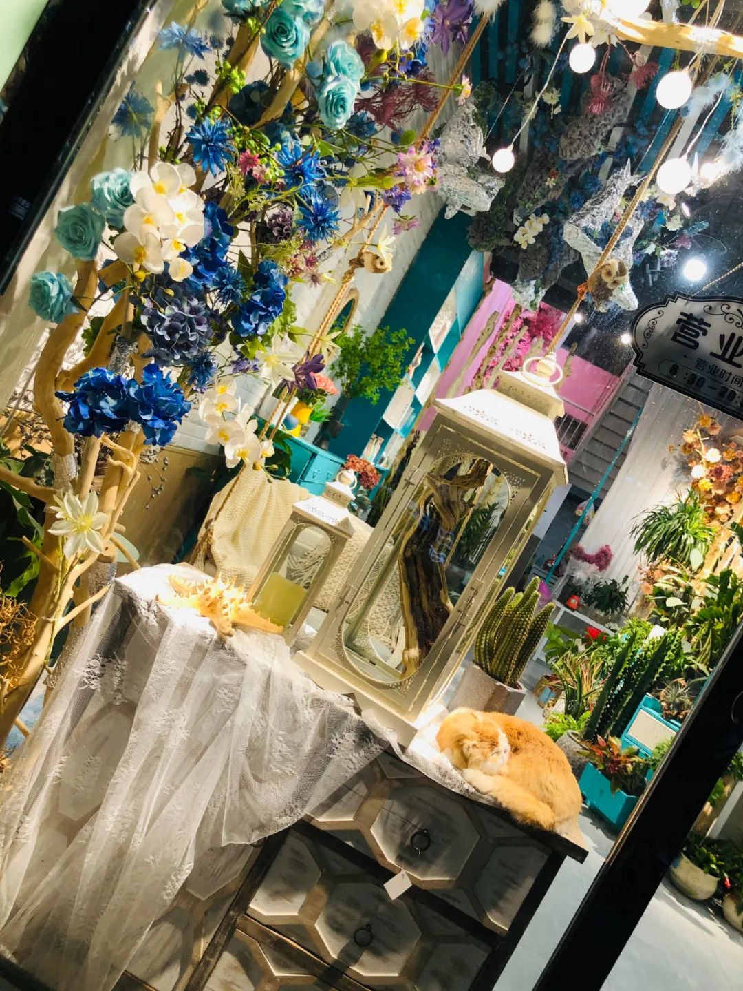 博思花艺婚庆教育，婚庆培训，花艺培训，插花培训，花艺师培训，主持人培训，商务主持人培训，花店运营培训，花店全系统营销，小白开花店，小白学主持，金玺棠婚庆酒店，金玺棠总部，郑州金麻雀教育科技有限公司