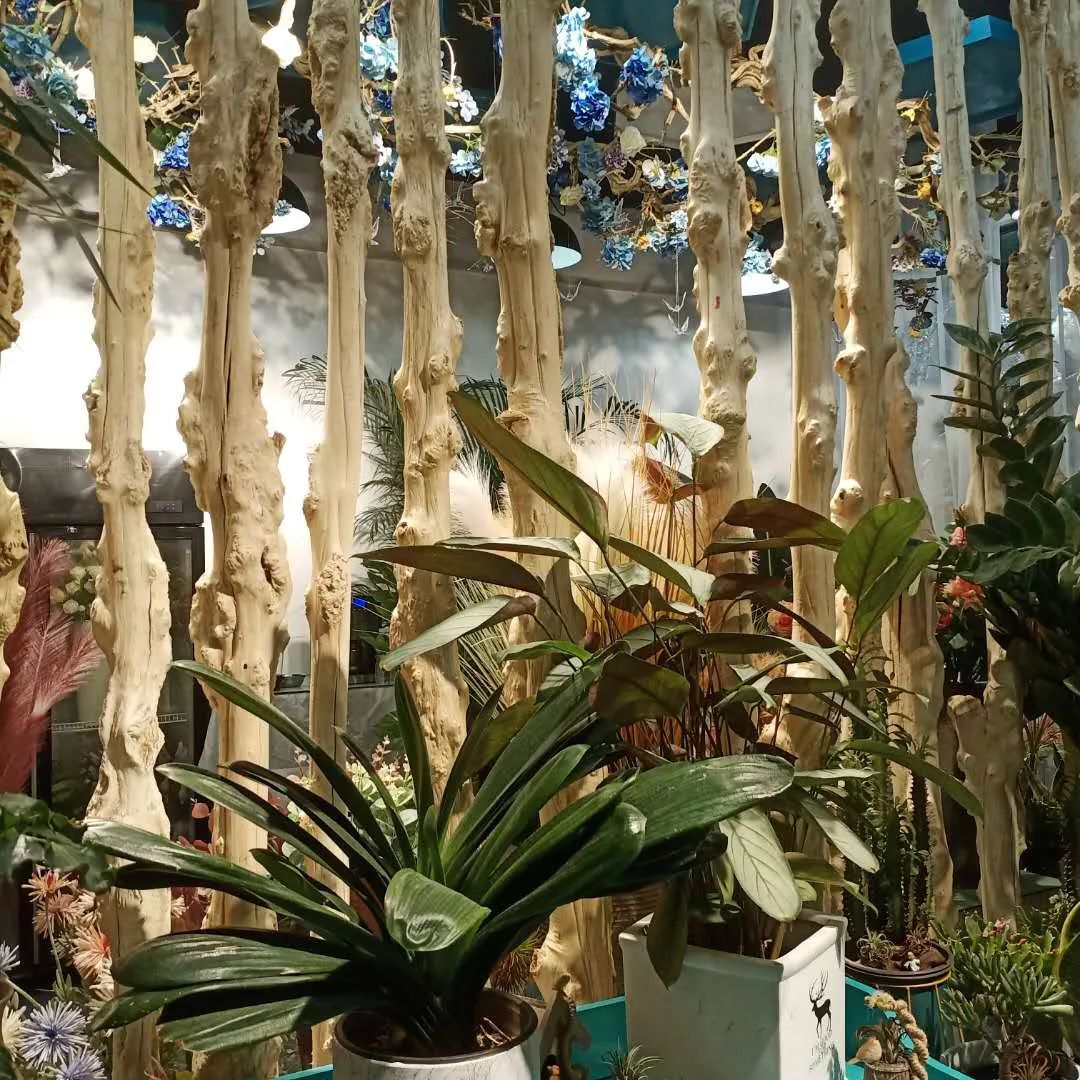 博思花艺婚庆教育，婚庆培训，花艺培训，插花培训，花艺师培训，主持人培训，商务主持人培训，花店运营培训，花店全系统营销，小白开花店，小白学主持，金玺棠婚庆酒店，金玺棠总部，郑州金麻雀教育科技有限公司