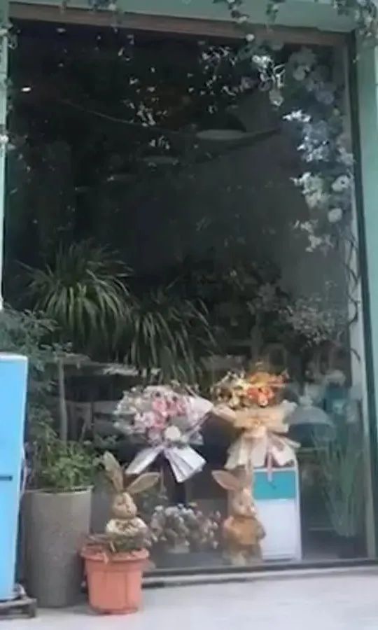 博思花艺婚庆教育，婚庆培训，花艺培训，插花培训，花艺师培训，主持人培训，商务主持人培训，花店运营培训，花店全系统营销，小白开花店，小白学主持，金玺棠婚庆酒店，金玺棠总部，郑州金麻雀教育科技有限公司