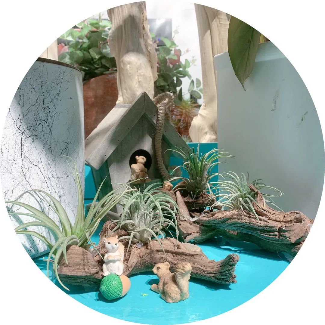 博思花艺婚庆教育，婚庆培训，花艺培训，插花培训，花艺师培训，主持人培训，商务主持人培训，花店运营培训，花店全系统营销，小白开花店，小白学主持，金玺棠婚庆酒店，金玺棠总部，郑州金麻雀教育科技有限公司