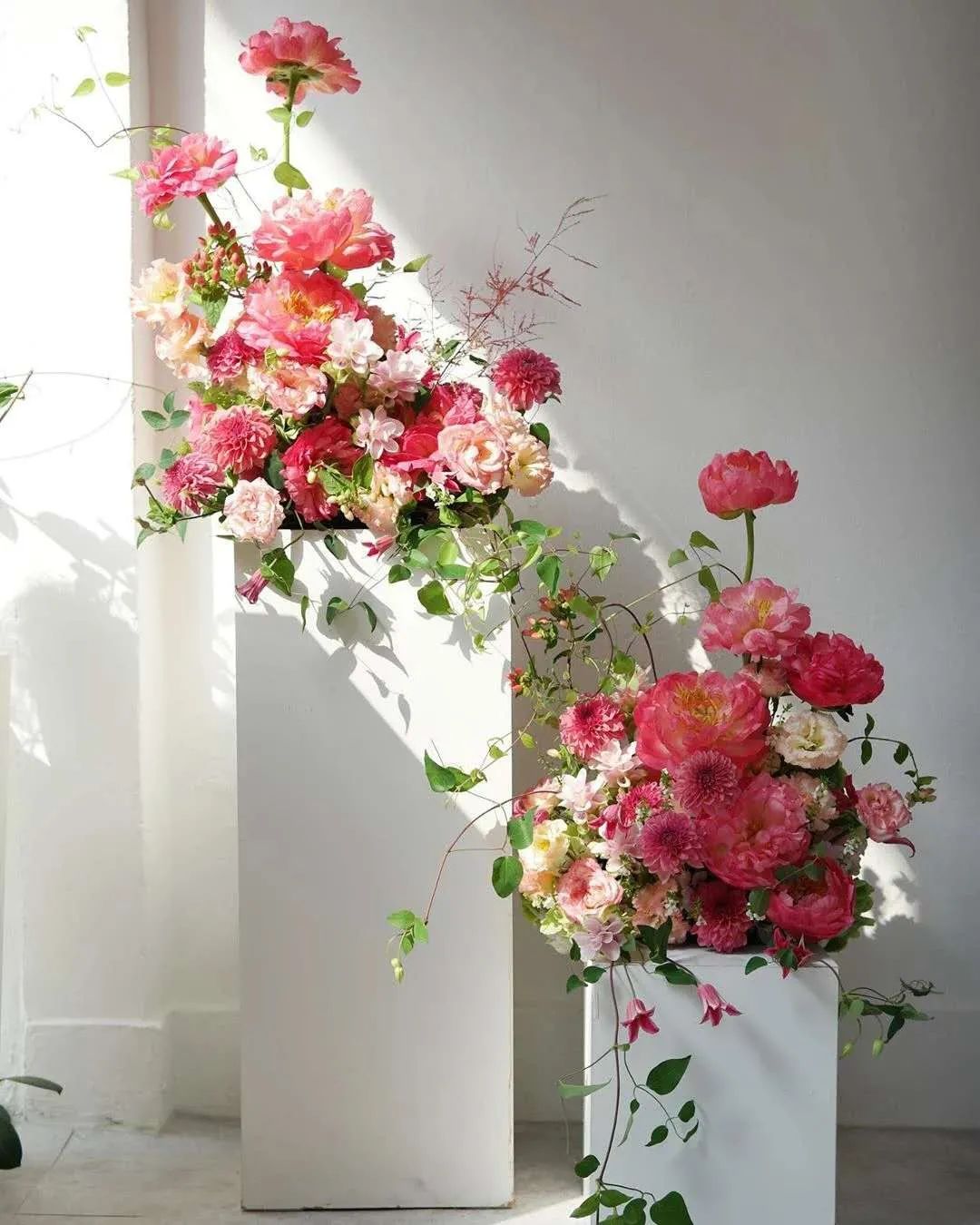 博思花艺婚庆教育,婚庆培训,花艺培训,插花培训,花艺师培训,主持人培训,商务主持人培训,花店运营培训,花店全系统营销,小白开花店,小白学主持,金玺棠婚庆酒店,金玺棠总部,郑州金麻雀教育科技有限公司 博思花艺婚庆教育,婚庆培训,花艺培训,插花培训,花艺师培训,主持人培训,商务主持人培训,花店运营培训,花店全系统营销,小白开花店,小白学主持,金玺棠婚庆酒店,金玺棠总部,郑州金麻雀教育科技有限公司