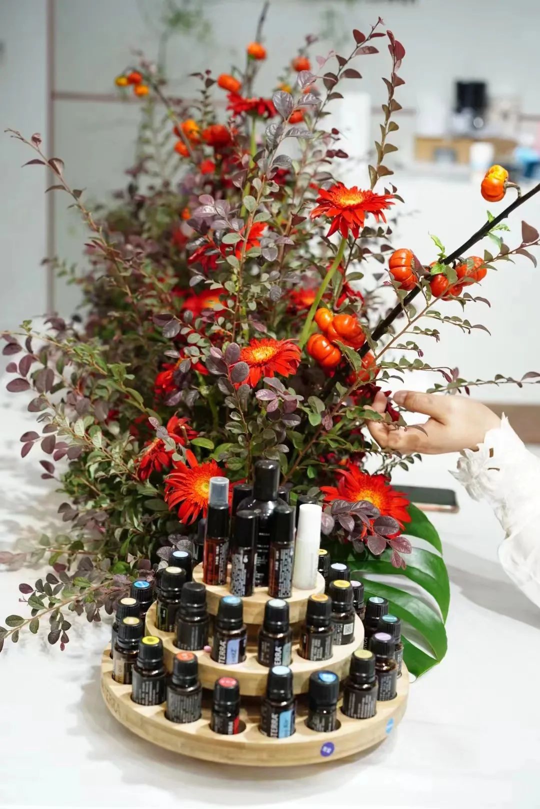 博思花艺婚庆教育，婚庆培训，花艺培训，插花培训，花艺师培训，主持人培训，商务主持人培训，花店运营培训，花店全系统营销，小白开花店，小白学主持，金玺棠婚庆酒店，金玺棠总部，郑州金麻雀教育科技有限公司