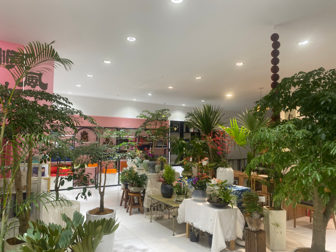 博思花艺婚庆教育，婚庆培训，花艺培训，插花培训，花艺师培训，主持人培训，商务主持人培训，花店运营培训，花店全系统营销，小白开花店，小白学主持，金玺棠婚庆酒店，金玺棠总部，郑州金麻雀教育科技有限公司