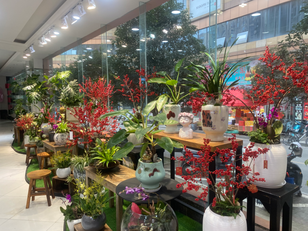 博思花艺婚庆教育，婚庆培训，花艺培训，插花培训，花艺师培训，主持人培训，商务主持人培训，花店运营培训，花店全系统营销，小白开花店，小白学主持，金玺棠婚庆酒店，金玺棠总部，郑州金麻雀教育科技有限公司