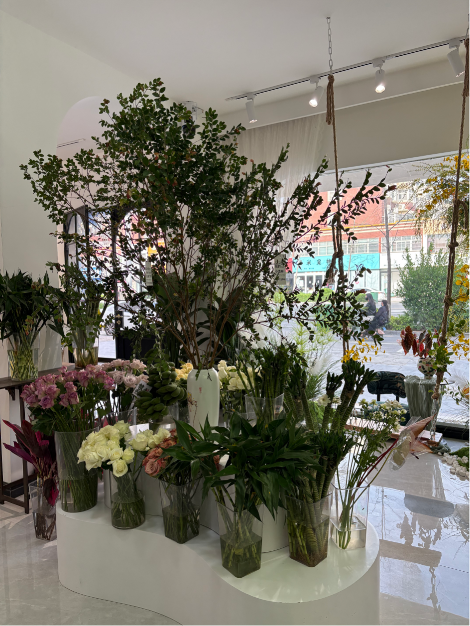 博思花艺婚庆教育，婚庆培训，花艺培训，插花培训，花艺师培训，主持人培训，商务主持人培训，花店运营培训，花店全系统营销，小白开花店，小白学主持，金玺棠婚庆酒店，金玺棠总部，郑州金麻雀教育科技有限公司