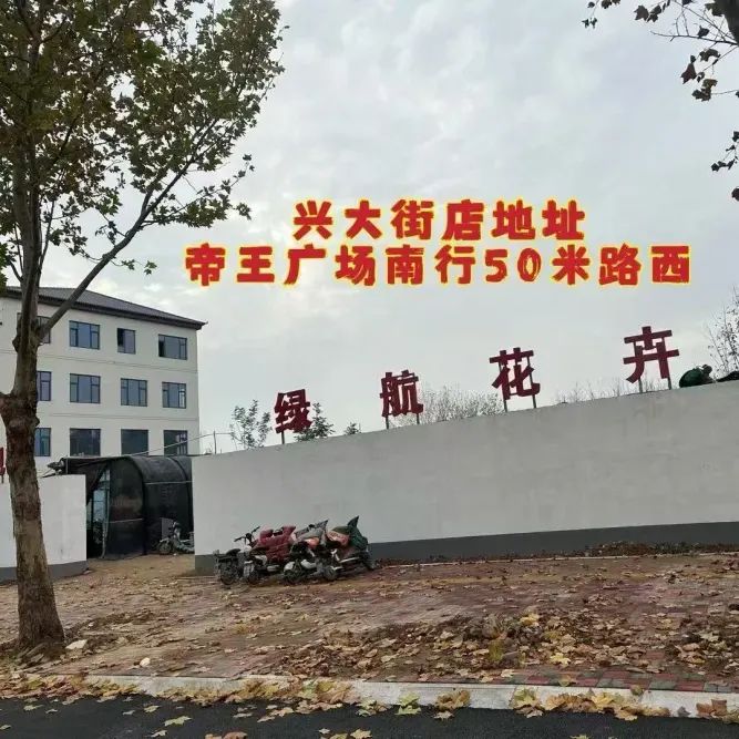 博思花艺婚庆教育，婚庆培训，花艺培训，插花培训，花艺师培训，主持人培训，商务主持人培训，花店运营培训，花店全系统营销，小白开花店，小白学主持，金玺棠婚庆酒店，金玺棠总部，郑州金麻雀教育科技有限公司