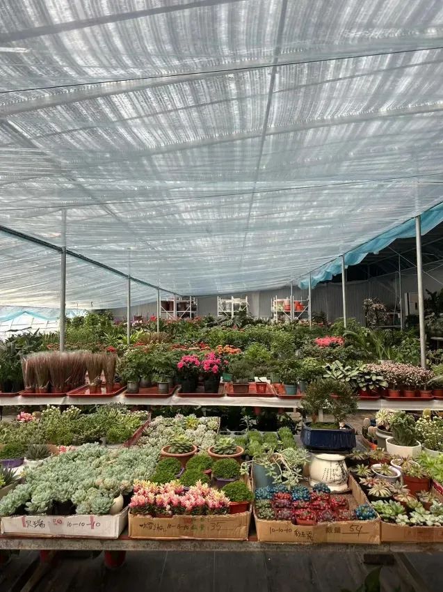 博思花艺婚庆教育，婚庆培训，花艺培训，插花培训，花艺师培训，主持人培训，商务主持人培训，花店运营培训，花店全系统营销，小白开花店，小白学主持，金玺棠婚庆酒店，金玺棠总部，郑州金麻雀教育科技有限公司