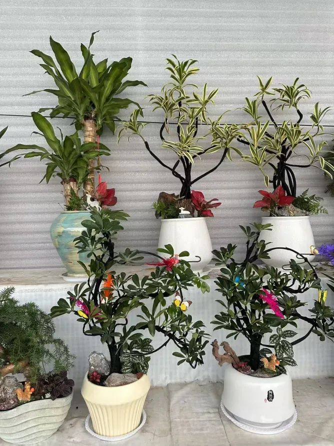 博思花艺婚庆教育，婚庆培训，花艺培训，插花培训，花艺师培训，主持人培训，商务主持人培训，花店运营培训，花店全系统营销，小白开花店，小白学主持，金玺棠婚庆酒店，金玺棠总部，郑州金麻雀教育科技有限公司