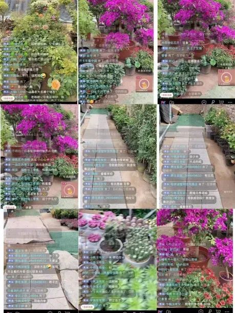 博思花艺婚庆教育，婚庆培训，花艺培训，插花培训，花艺师培训，主持人培训，商务主持人培训，花店运营培训，花店全系统营销，小白开花店，小白学主持，金玺棠婚庆酒店，金玺棠总部，郑州金麻雀教育科技有限公司