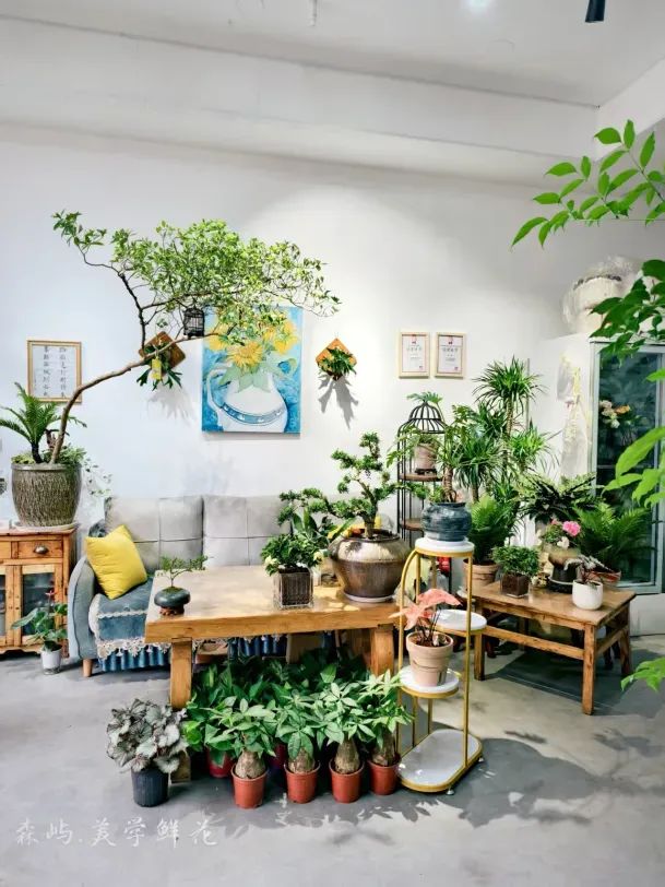 博思花艺婚庆教育，婚庆培训，花艺培训，插花培训，花艺师培训，主持人培训，商务主持人培训，花店运营培训，花店全系统营销，小白开花店，小白学主持，金玺棠婚庆酒店，金玺棠总部，郑州金麻雀教育科技有限公司