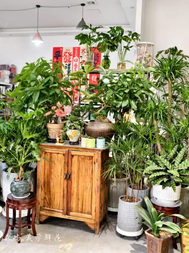 博思花艺婚庆教育，婚庆培训，花艺培训，插花培训，花艺师培训，主持人培训，商务主持人培训，花店运营培训，花店全系统营销，小白开花店，小白学主持，金玺棠婚庆酒店，金玺棠总部，郑州金麻雀教育科技有限公司