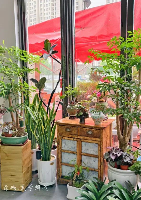 博思花艺婚庆教育，婚庆培训，花艺培训，插花培训，花艺师培训，主持人培训，商务主持人培训，花店运营培训，花店全系统营销，小白开花店，小白学主持，金玺棠婚庆酒店，金玺棠总部，郑州金麻雀教育科技有限公司