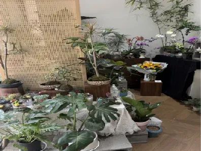 博思花艺婚庆教育，婚庆培训，花艺培训，插花培训，花艺师培训，主持人培训，商务主持人培训，花店运营培训，花店全系统营销，小白开花店，小白学主持，金玺棠婚庆酒店，金玺棠总部，郑州金麻雀教育科技有限公司