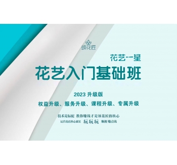 花艺入门基础班&花艺一星